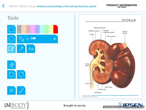 iMBODY Urology screenshot 3