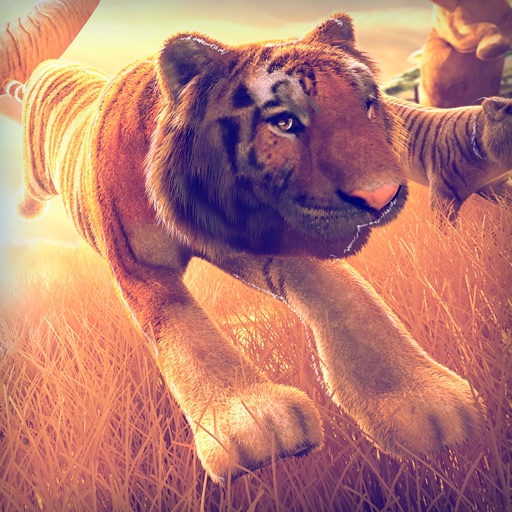 Tiger World | Free Tigers Simulator Racing Game For Kids Icon