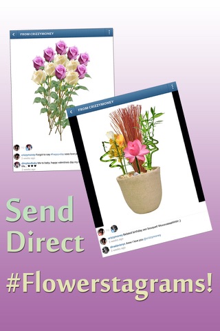 Insta Flower Cards by Shakesperry - Send Flowers Ecard Greetings Free; share on Instagram,Twitter,Facebook,email screenshot 4