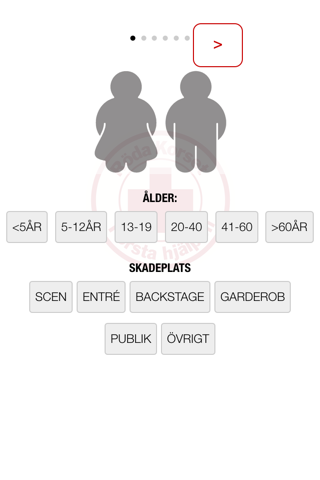 Skaderapport screenshot 3