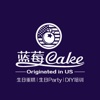 蓝莓Cake