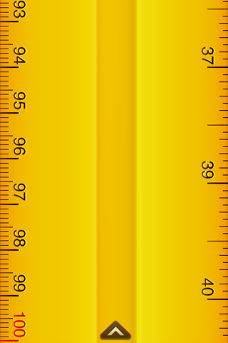 i-Ruler Pro screenshot 4