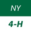 NY 4-H