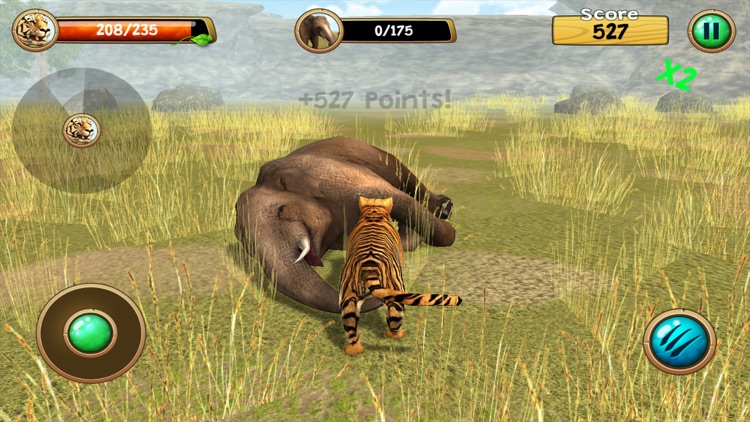 Wild Tiger Simulator 3D