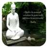 Buddha - Quotes for iPad