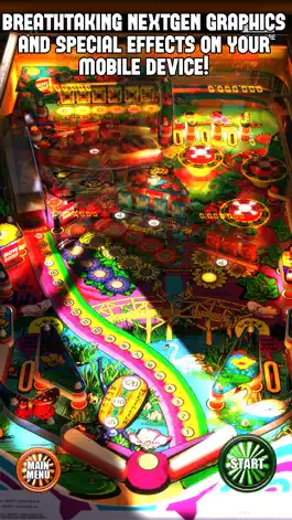 Game screenshot Zaccaria Pinball Master Edition apk