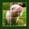 Animal Jigsaw Puzzle - Ultimate swap tile game edition