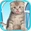 Talking Kitten - Play Time & Fun Games FREE
