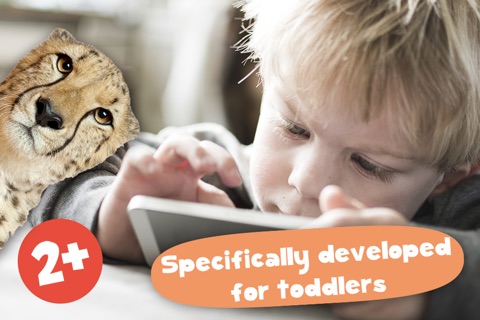 Free Play with Wildlife Safari Animals Sound game Game photo for toddlers in preschool, daycare and the creche screenshot 4