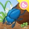 Dung beetle - InsectWorld  A story book about insects for children