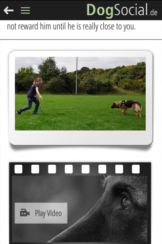 DogSocial Dog Training - Teaching the Basic Commands screenshot 4
