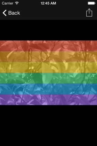 Celebrate Pride and National Patriot Photos screenshot 2