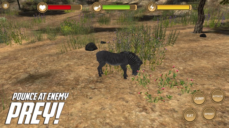 Zebra Simulator HD Animal Life screenshot-3