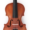 Violin Angelo