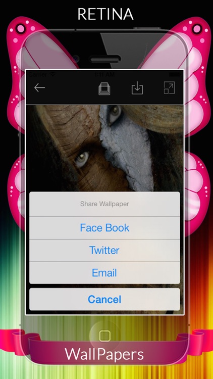 Wall & Screens 4 iPhone 4S, 5, 5S, 6, 6Plus & iPad screenshot-3