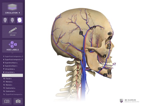 Interactive Anatomy - LB screenshot 4