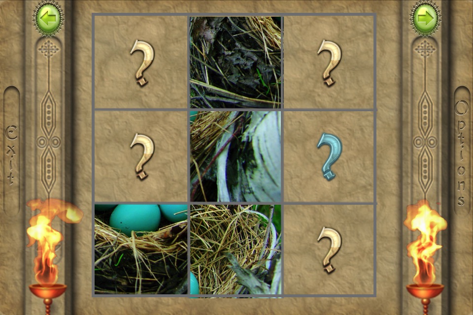 FlipPix Jigsaw - Nesting screenshot 2