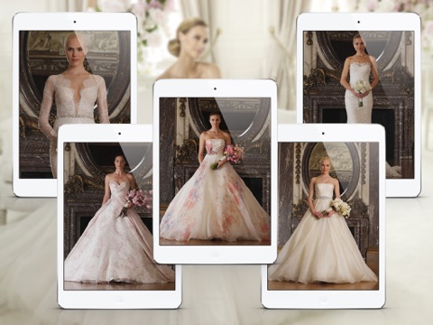 Wedding Dress & Bridal Gown Ideas for iPad screenshot 4