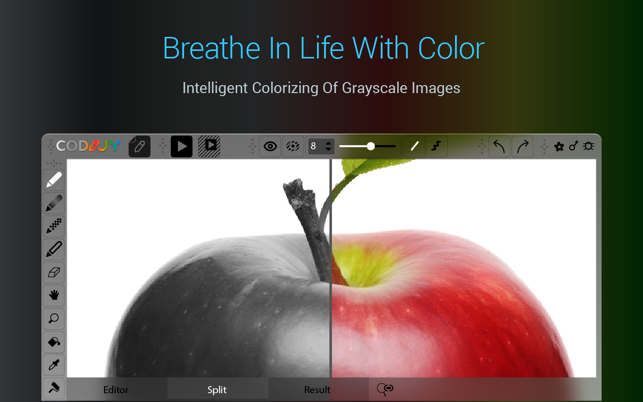 CODIJY Pro  – Colorize Black & White Pho