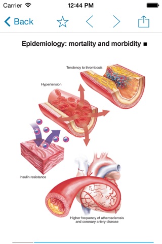 Metabolic syndrome screenshot 3