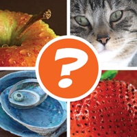 4 Pics 1 Word Puzzle: What's That Word? apk