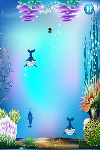 Dolphins vs Sharks Survival Craze - Fun Master of the Sea Challenge Paid screenshot 3