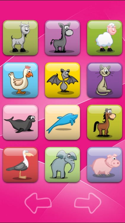 Animal Sound Board - Kids Interactive Flash Cards