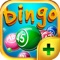 Bingo Sunday PLUS - Play Online Casino and Number Card Game for FREE !