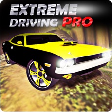 Activities of Extreme Car Driving Pro