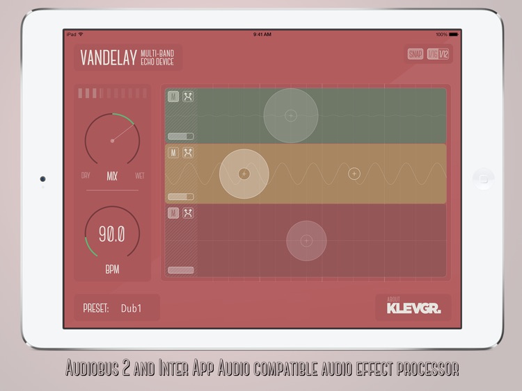 Vandelay multiband echo device