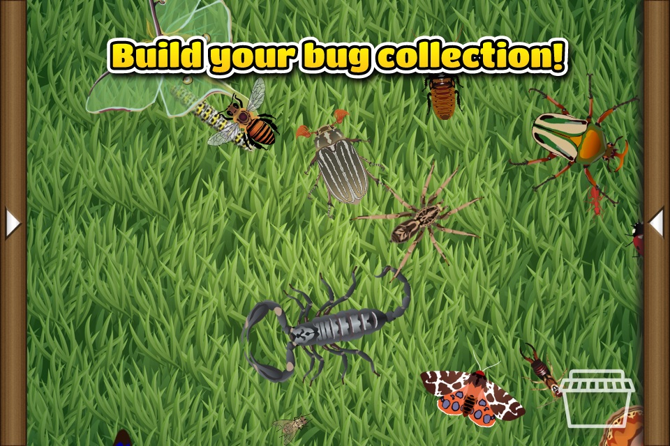 Fun Bugs screenshot 3