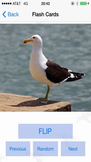 Bird Watching Guide & Identification(圖4)-速報App