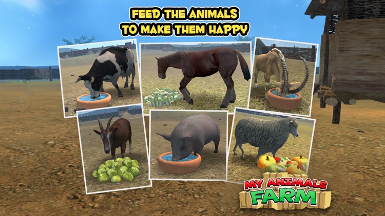 My Animals - Farm