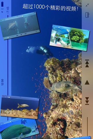 Scuba Diving World screenshot 2