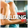 Muscle Building Tips