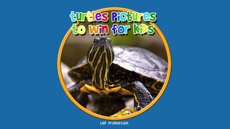 turtle pictures to win for kids - free screenshot-0