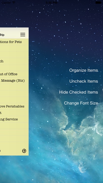 Essential Travel Checklist screenshot-3