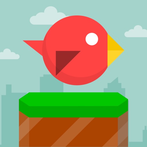 Racing Birds iOS App