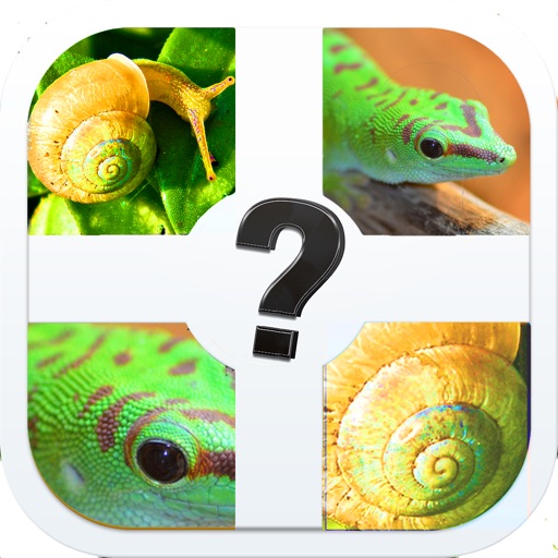 Zoomed Pic Quiz - Guess All The Animals In This Brand New Photo Trivia Game iOS App