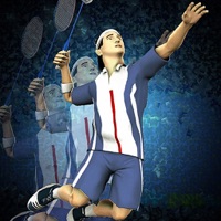 Super Badminton 2010 icon