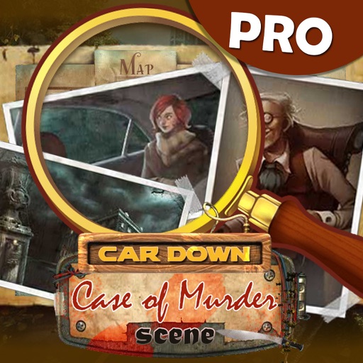 Car down case of murder pro icon