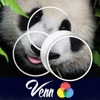 Venn Bears: Overlapping Jigsaw Puzzles