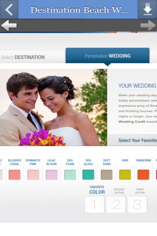 Destination Beach Weddings screenshot 4