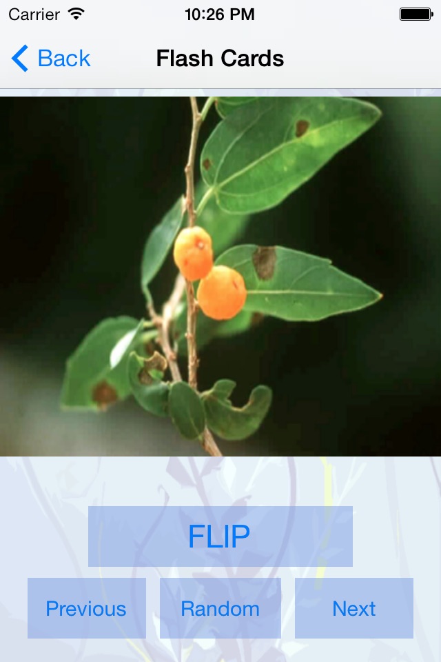 Edible and Poisonous Plants screenshot 4