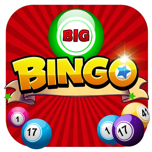 Number Nut Big Bingo icon