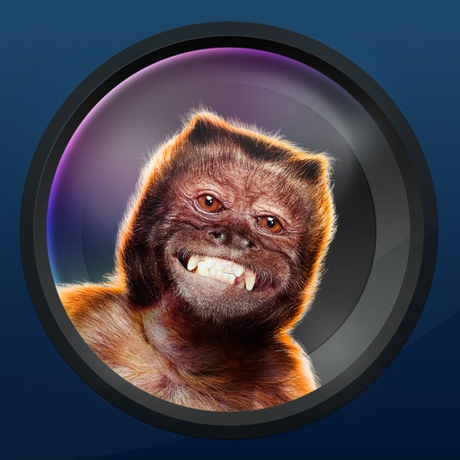 Night at the Museum: Secret of the Tomb - MonkeyCam icon