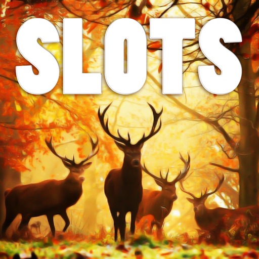 Autumn Animals - FREE Slots Game Big Wizard Bingo Casino icon