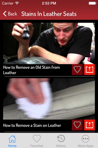 Remove Stains - Stains Removal Techniques screenshot 2