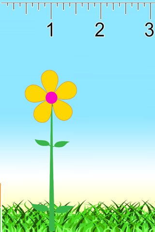 Math Flower Flash Cards screenshot 4