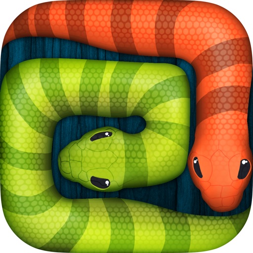 Snake Break Prof iOS App